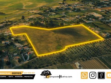 Terreno rustico in vendita a Trigueros