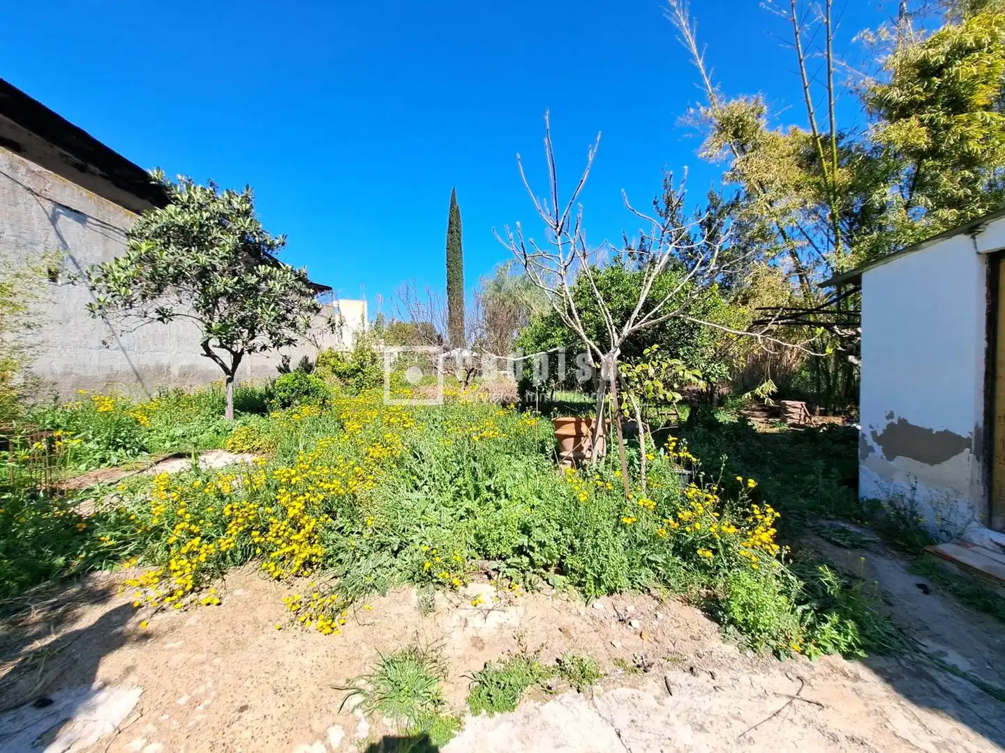 Casa o chalet en venta en Murcia con Terraza