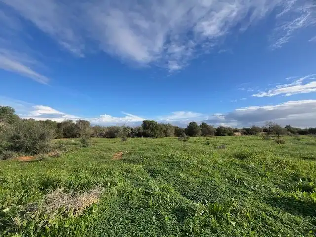 Terrenys i solars en venda a Ses Salines, imagen 9