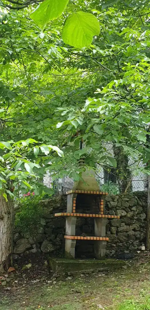 Jardí de Pis en venda en Peñamellera Alta