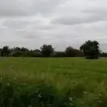 Rural land for sale in Topas, imagen 28