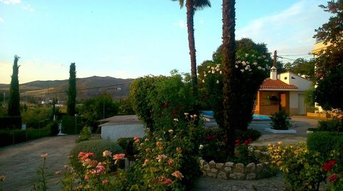 Finca en venta en Llano Piña Loja  2.000 m de parcela con vivienda, piscina y jardín, immagine 3