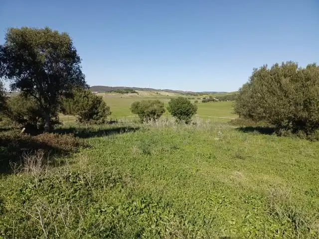 Terrain rustique à vendre à Vejer, imagen 7