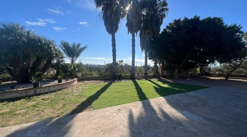 Photo 2 of Country homes for sale in Torre-Pacheco ciudad, Torre-Pacheco