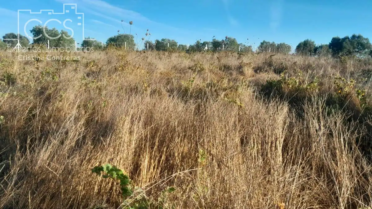 Terreni e lotti in vendita a Almonte ciudad, imagen 6