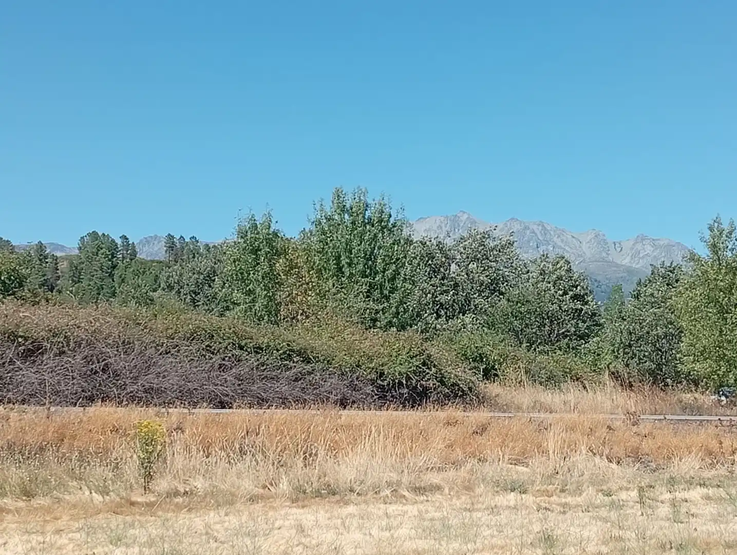 Terreni e lotti in vendita a Villanueva de la Vera, imagen 3