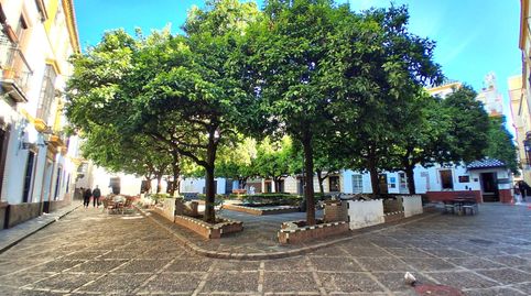 Photo 2 of Flat for sale in Alfalfa - Santa Cruz, Sevilla Capital