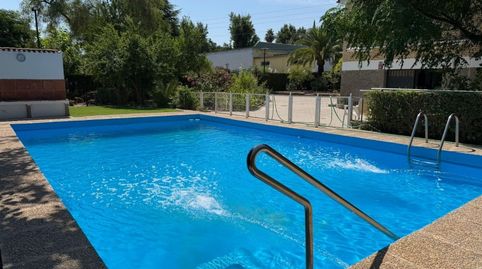 Foto 3 de Finca rústica en venta en Camino de Los Poleares, -1, El Carmen - La Barrera, Lucena