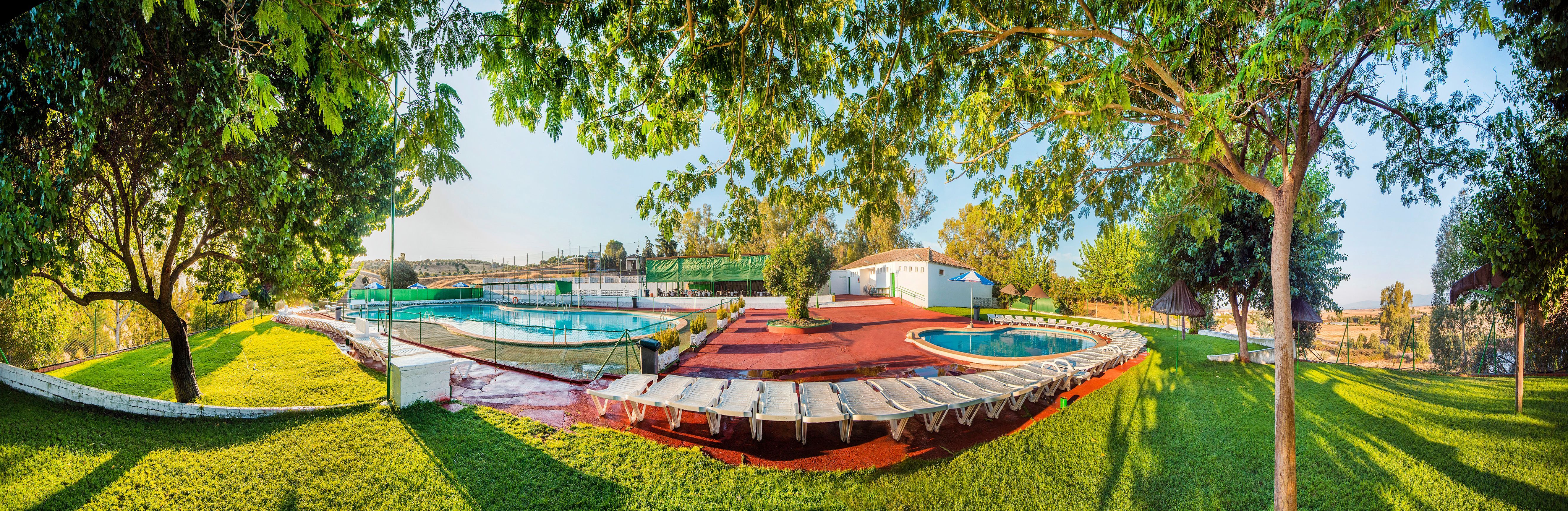 Swimming pool of Residential for sale in Oropesa