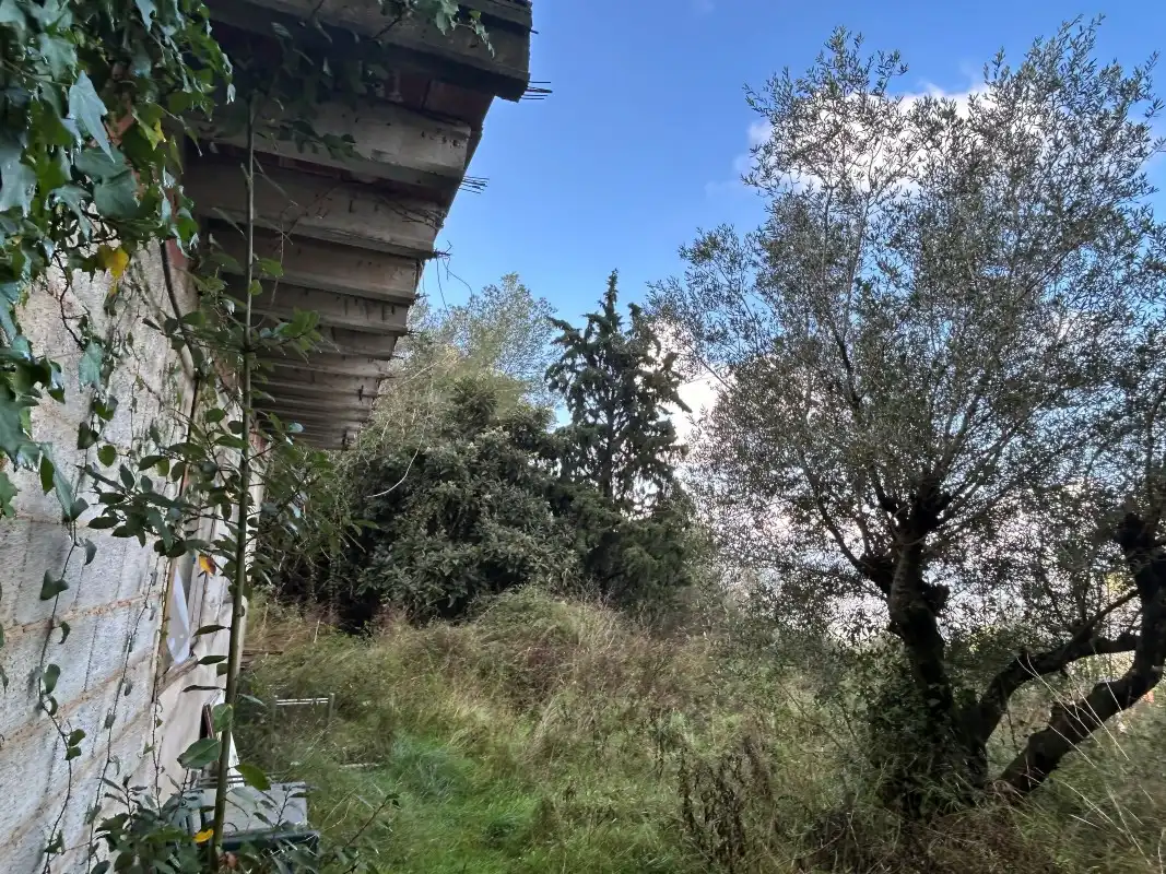 Rural land for sale in Partida Tancaes, imagen 9