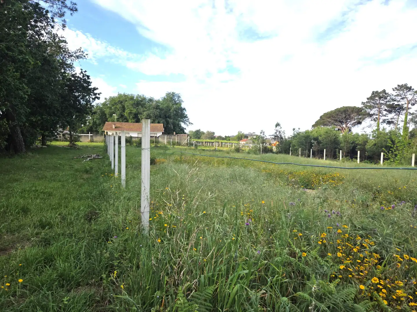Residencial en venta en Sanxenxo