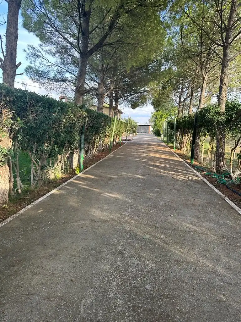 Vista exterior de Finca rústica en venta en Tomelloso con Aire acondicionado, Jardín privado y Terraza