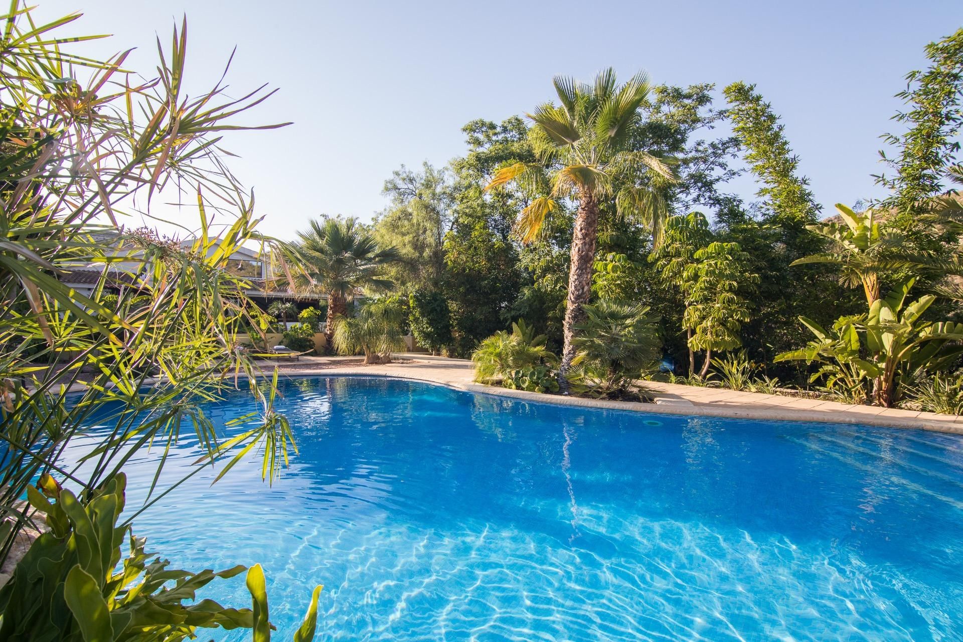 Piscina de Casa o xalet en venda en Aspe amb Aire condicionat, Calefacció i Jardí privat