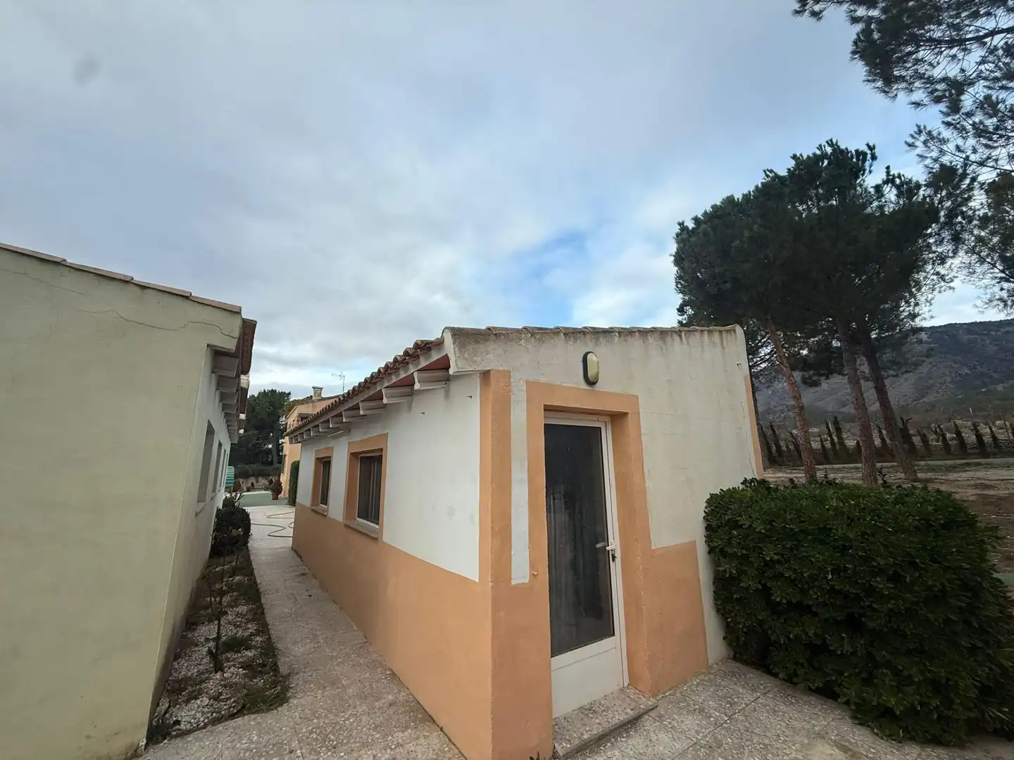 House with terrace for sale in Polígono 18 Paraje 10 CA¥ADA BLANCA 71, imagen 32