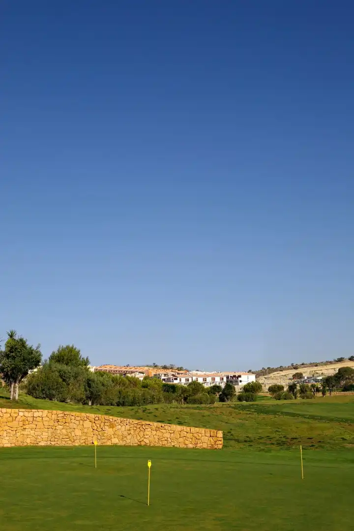 Baixos amb piscina en venda a Monforte del Cid, imagen 76