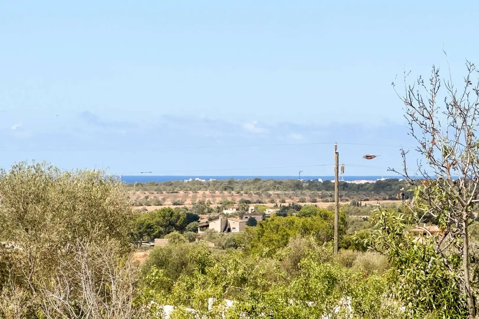 Wohnbaugrundstück zum Verkauf in Ses Salines Poble, imagen 10