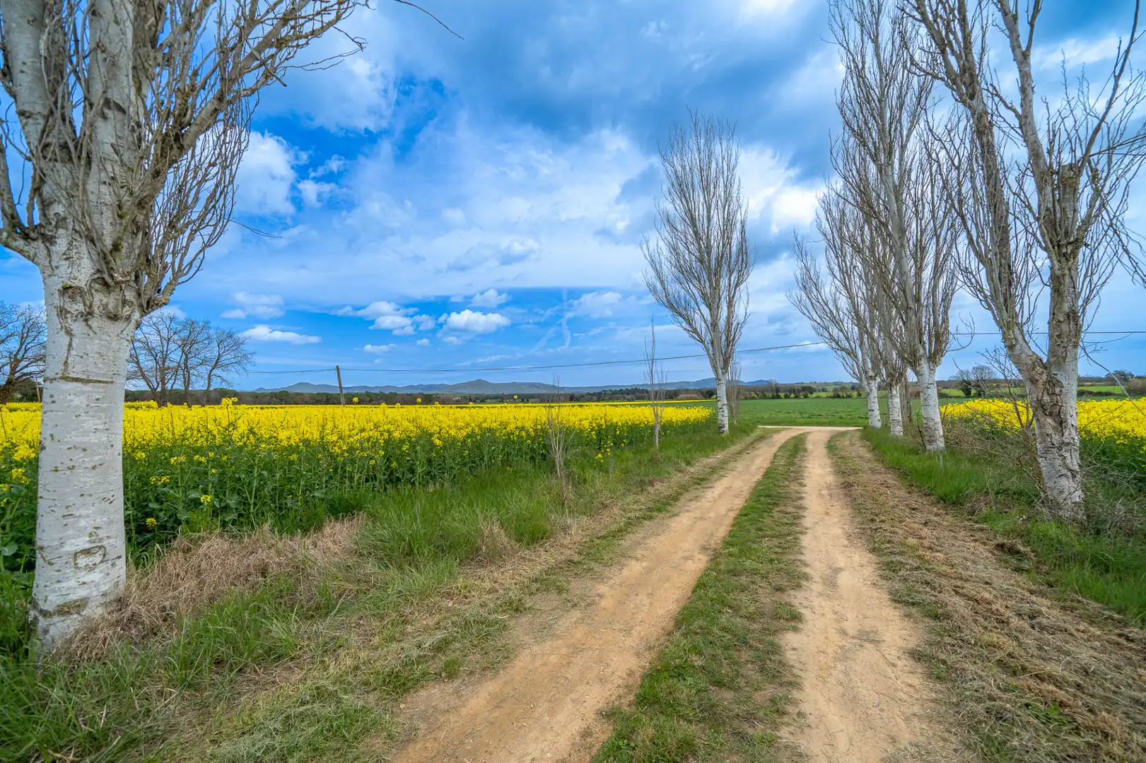 Vista exterior de Finca rústica en venta en Llagostera con Aire acondicionado, Calefacción y Terraza