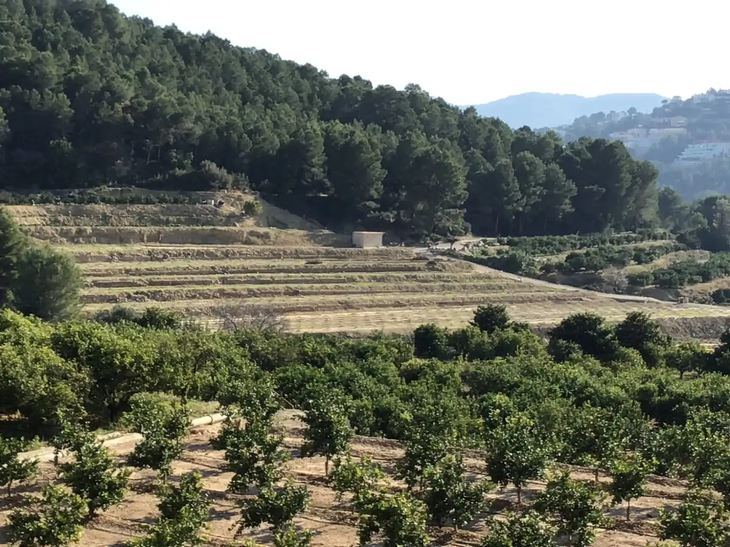 Terreno residencial en venta en Ador