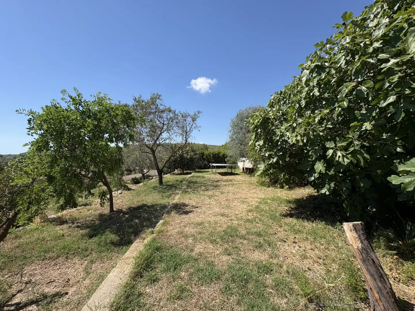 Casa o chalet en venta en Vespella de Gaià con Jardín privado, Piscina y Amueblado