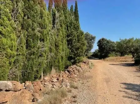 Terreno residencial en venta en Partida Rústica En Hoya De Buñol - El Tollo - Po, imagen 7