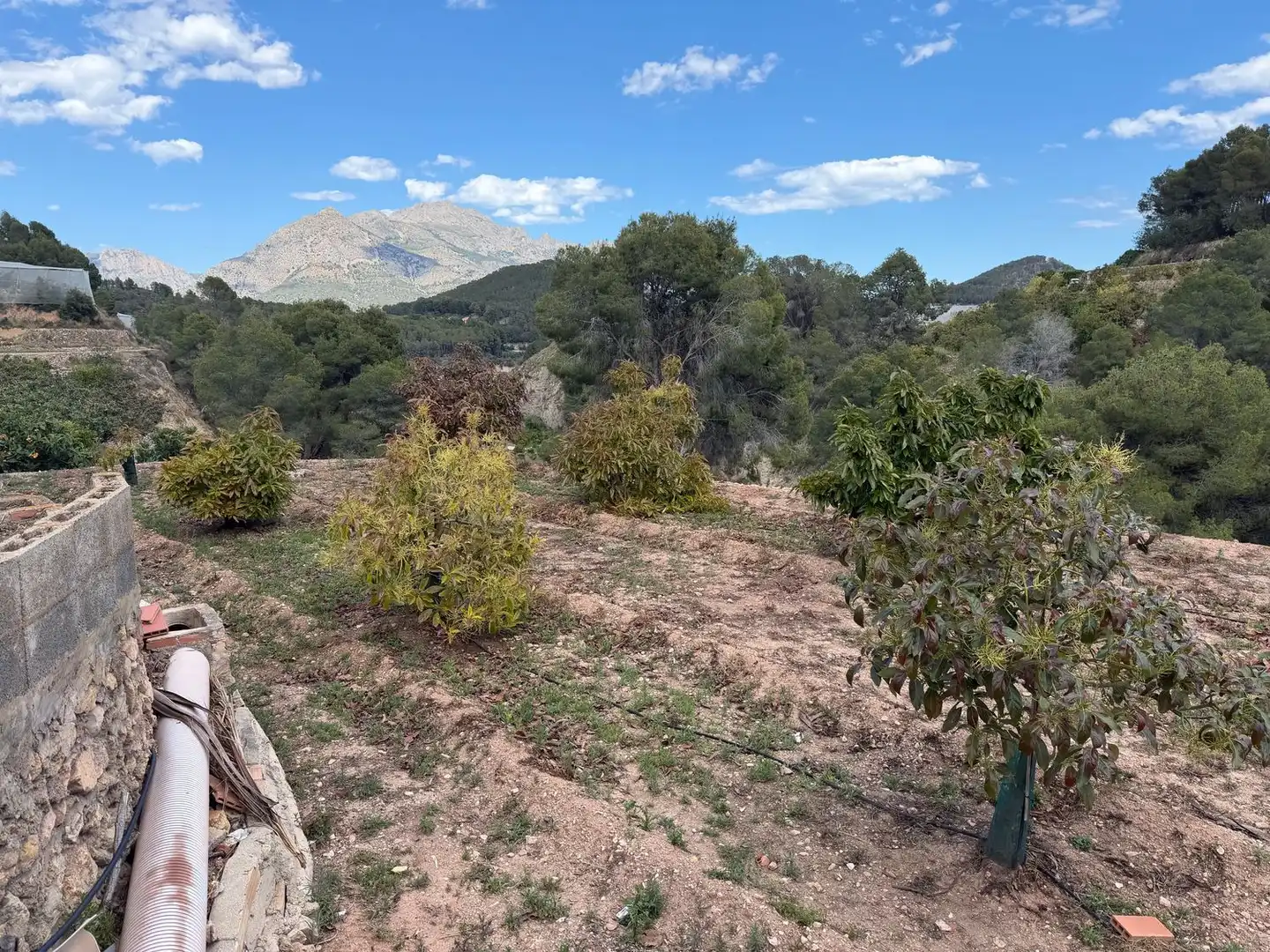 Finca rústica en venta en Polop