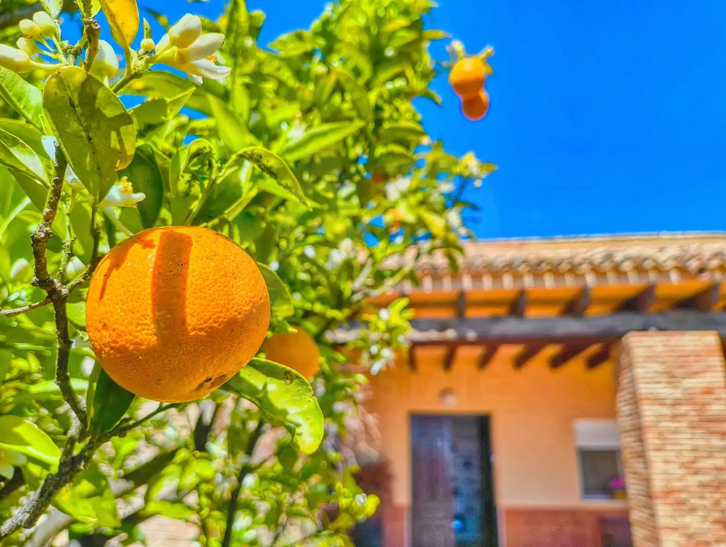 Casa con piscina en venta en Las Bayas, imagen 12
