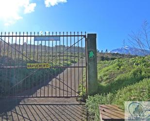 Vista exterior de Finca rústica en venda en Los Realejos