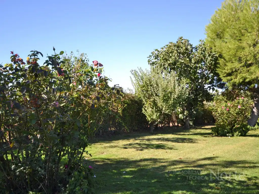 Casa o chalet en venta en Fuente El Saz de Jarama, Madrid