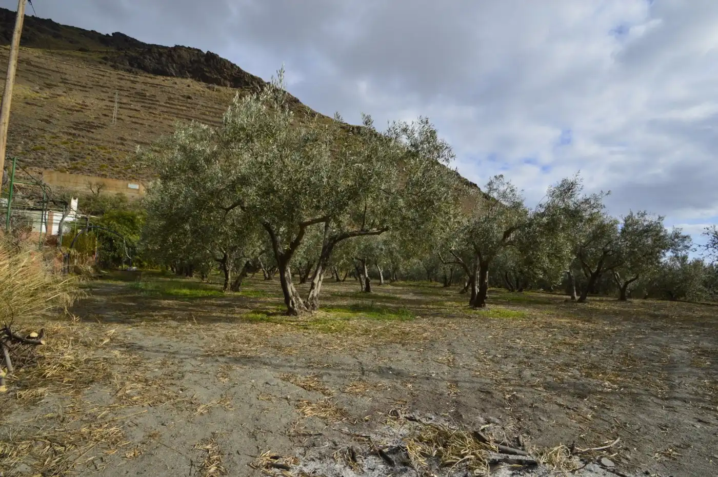 Finca rústica en venta en Gérgal