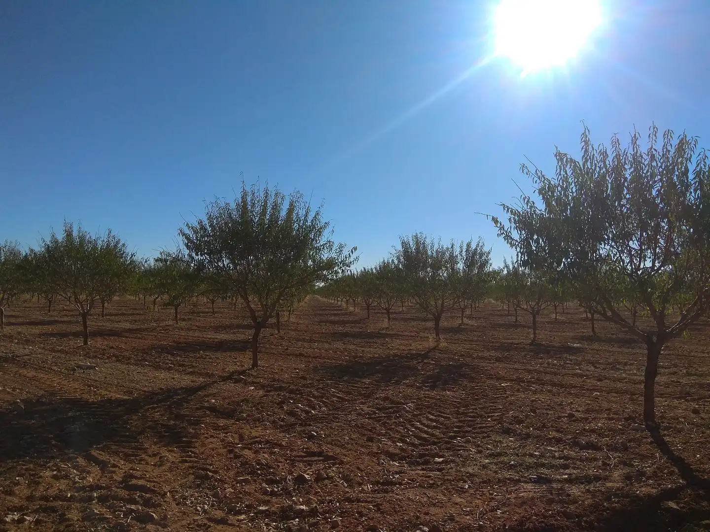 Terreni e lotti in vendita a Las Mesas, imagen 15