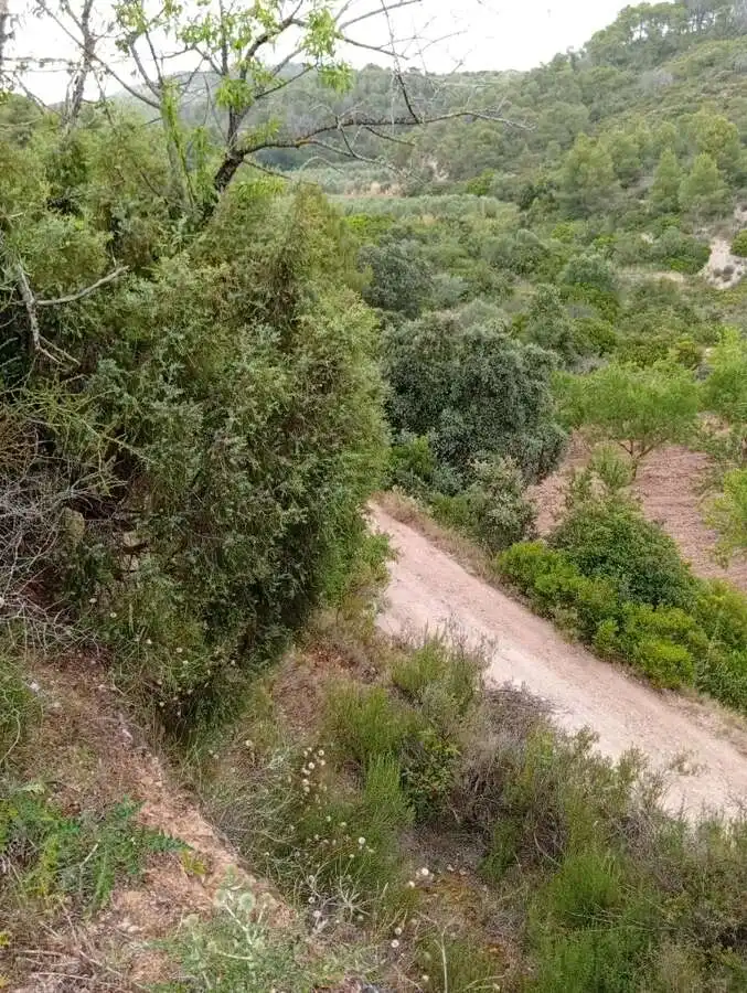 Piso en venta en Corbera d'Ebre, imagen 15