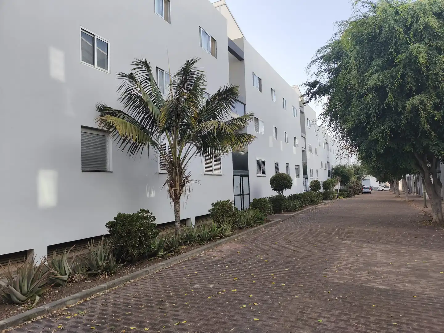 Vista exterior de Pis en venda en Tamaraceite - San Lorenzo - Tenoya