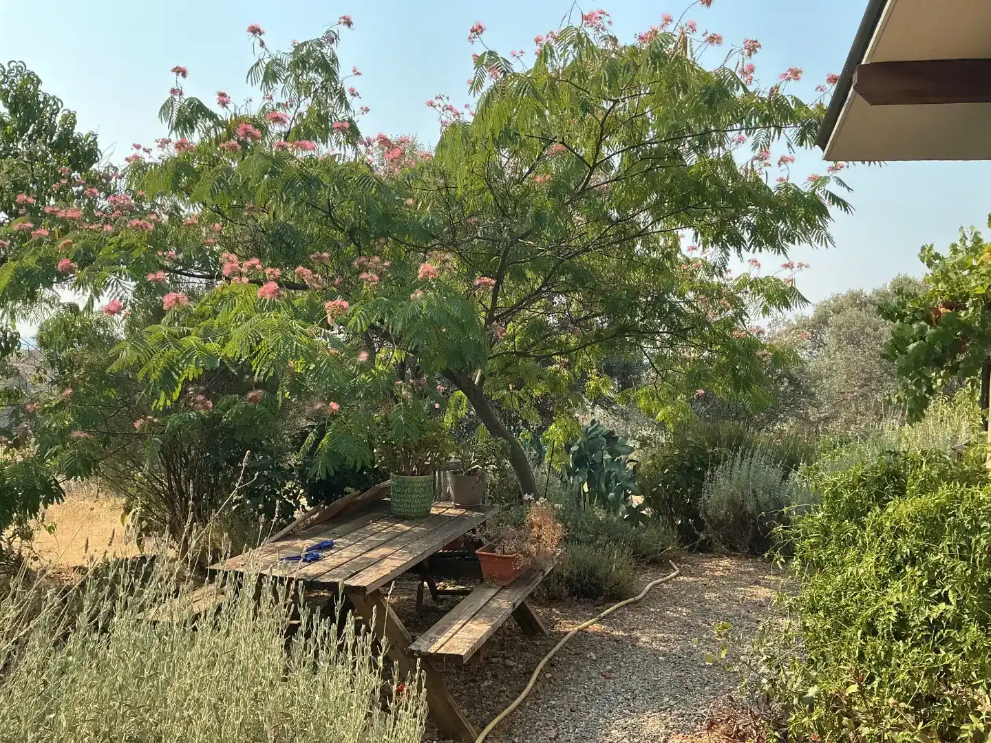 Jardí de Finca rústica en venda en Villasbuenas de Gata amb Aire condicionat, Traster i Piscina