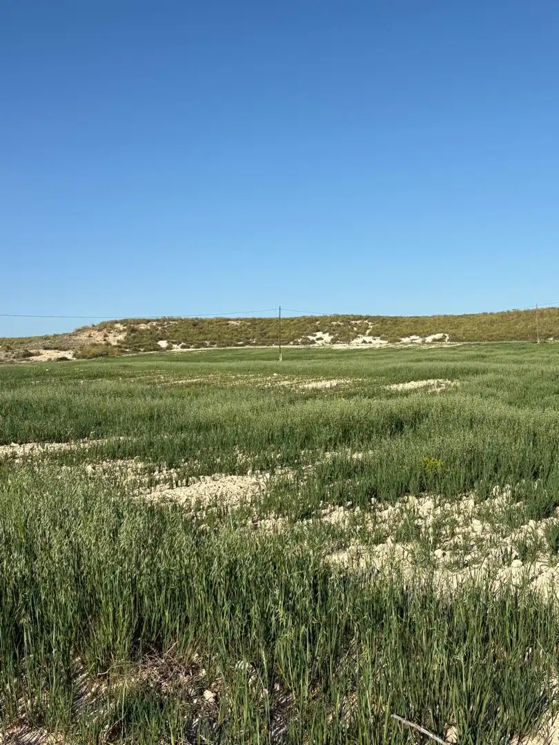 Country house for sale in Jumilla, imagen 43
