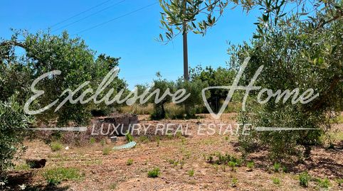 Foto 2 de Terreno en venta en Benicarló / Vía de Servicio, 250, Mar Chica, Benicarló