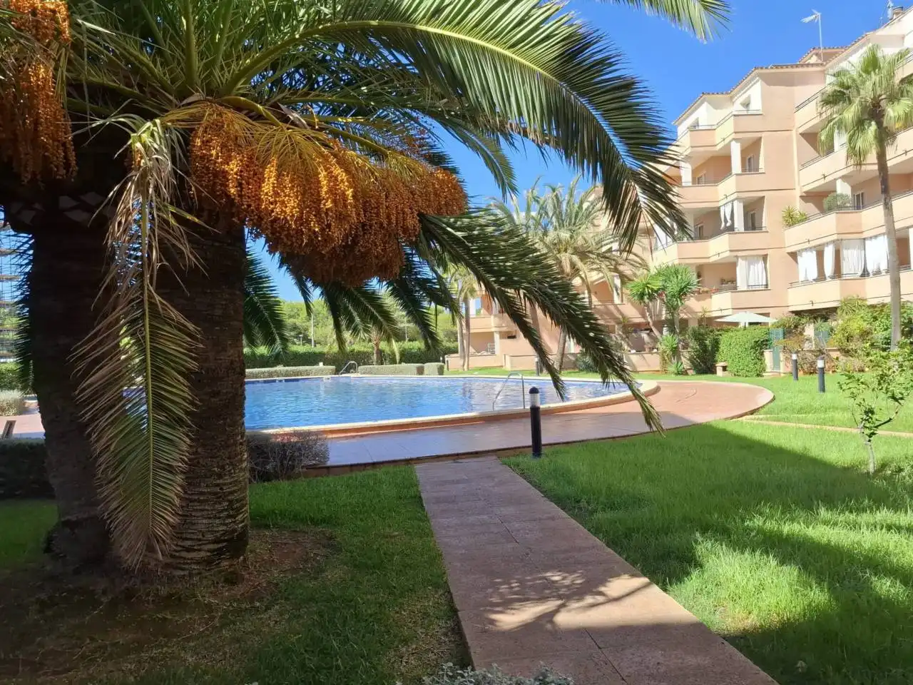 Pis amb piscina en venda a Calle Ficus