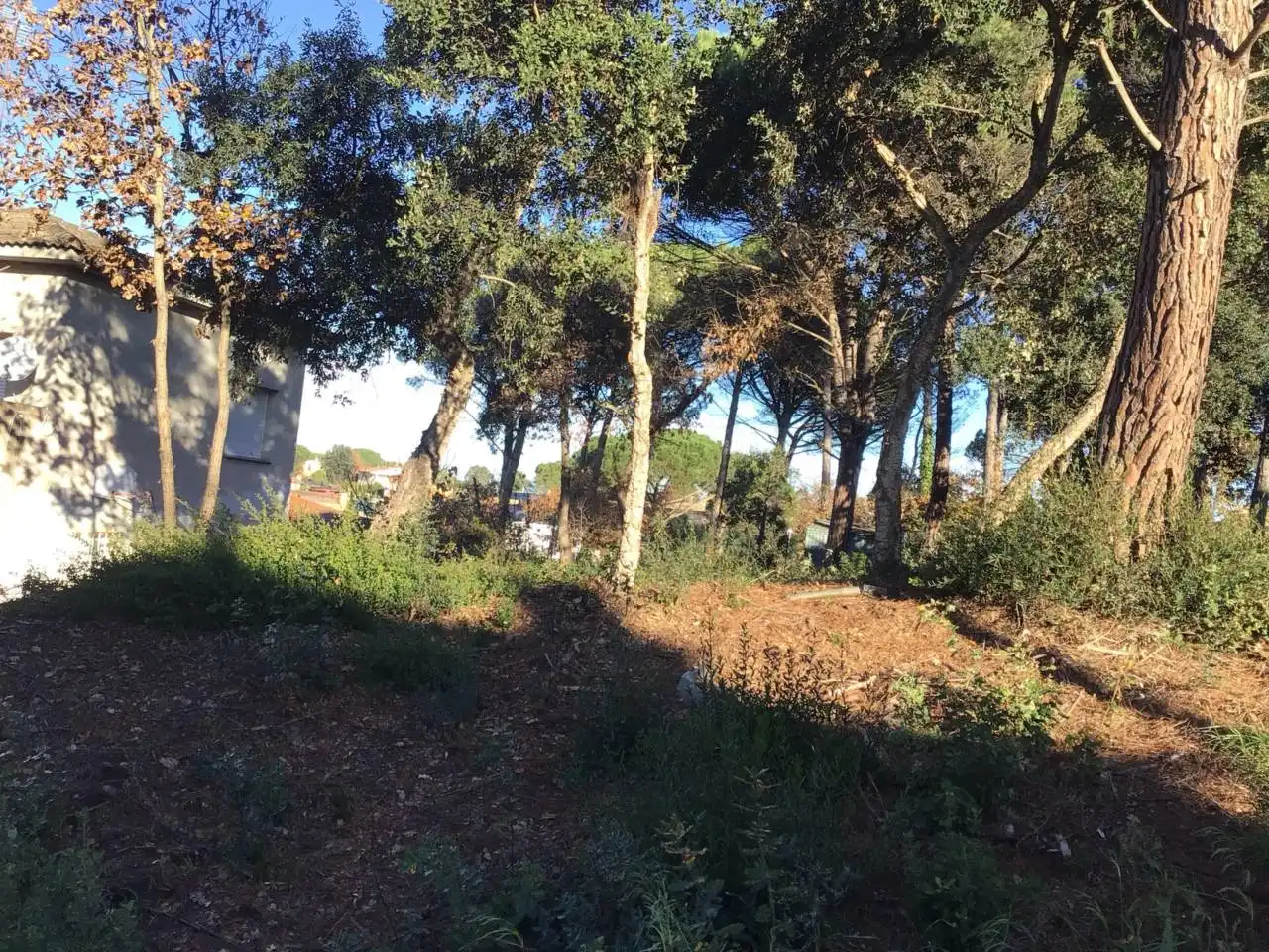 Terreny residencial en venda a Calle Solsonès