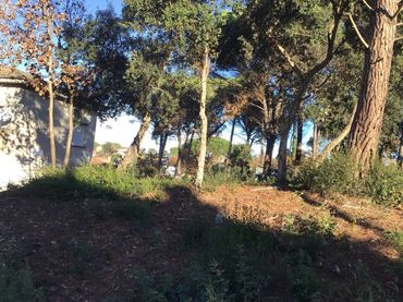 Terreno residenziale in vendita a Calle Solsonès