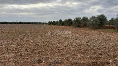 Foto 2 von Country house zum Verkauf in Écija, Sevilla