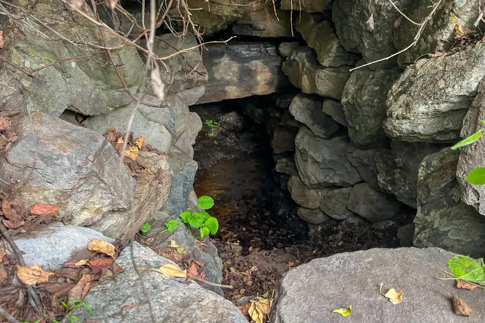 Finca rústica en venda en Vallehermoso