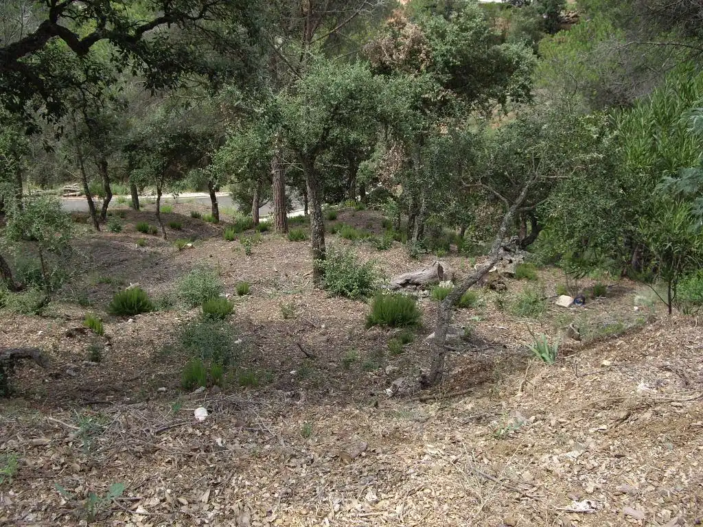Terreno residencial en venta en alzina, imagen 7