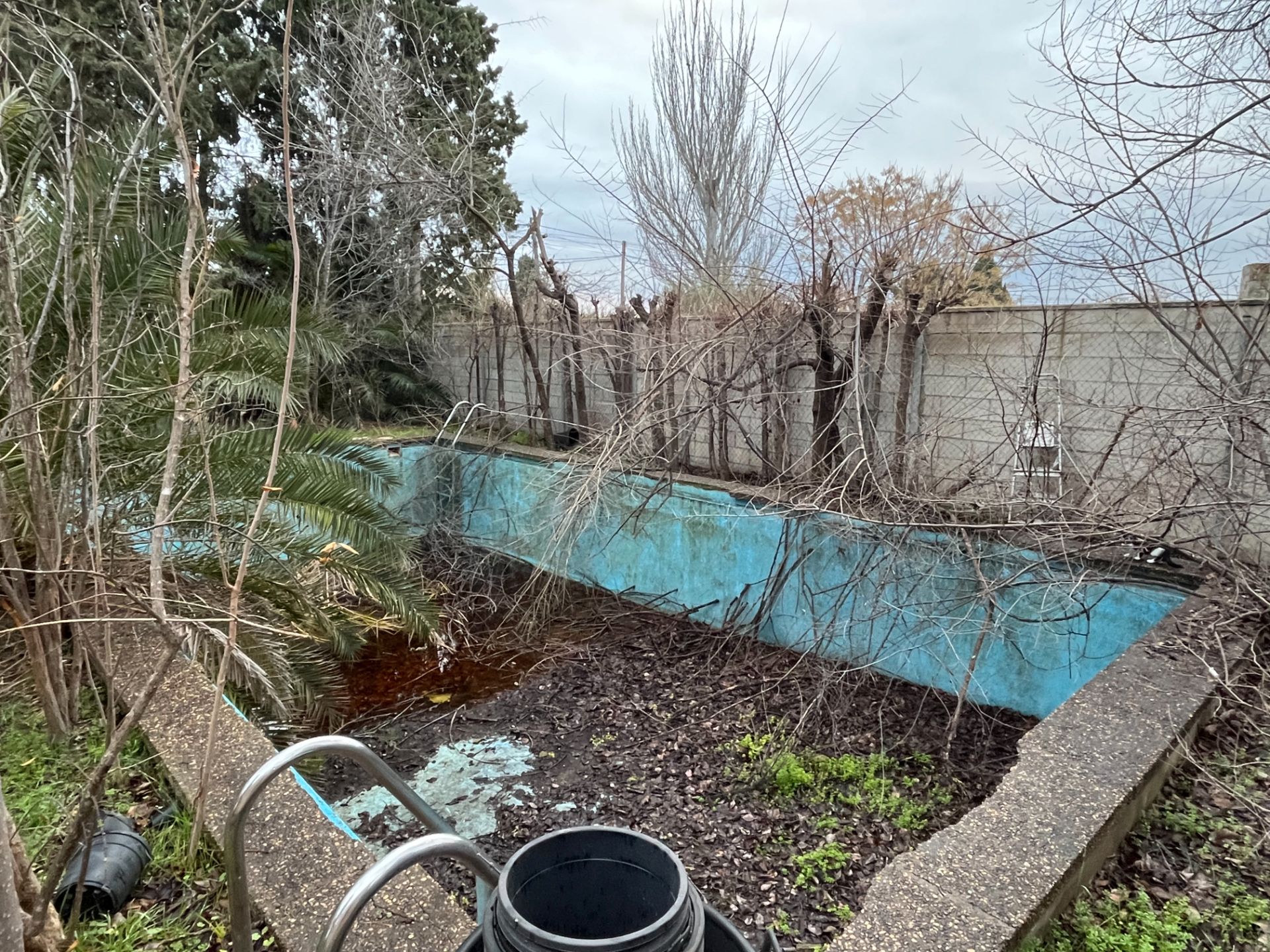 Piscina de Casa o xalet en venda en Nuez de Ebro amb Jardí privat i Piscina