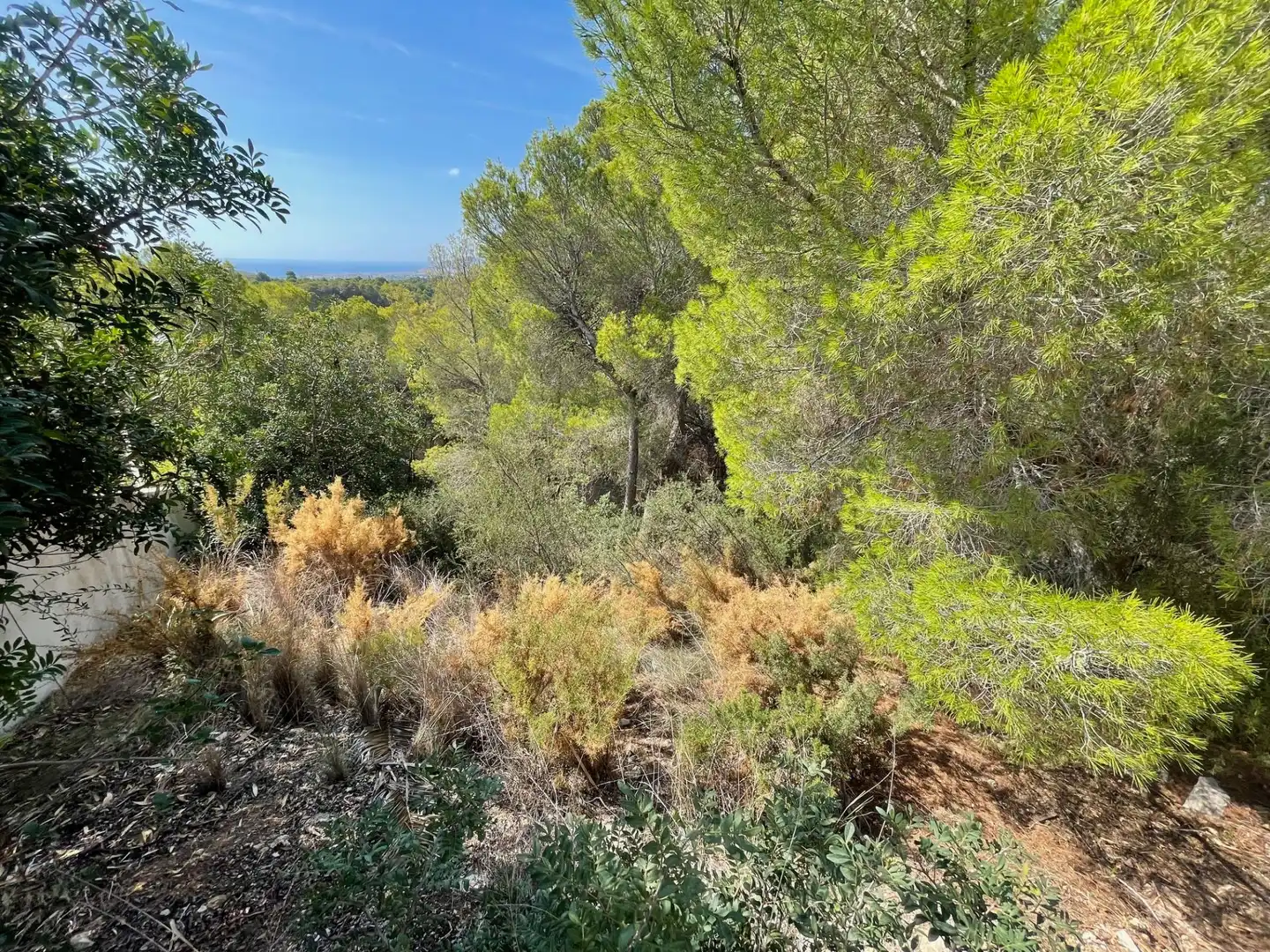 Terrenys i solars en venda a Altea la Vella, imagen 5