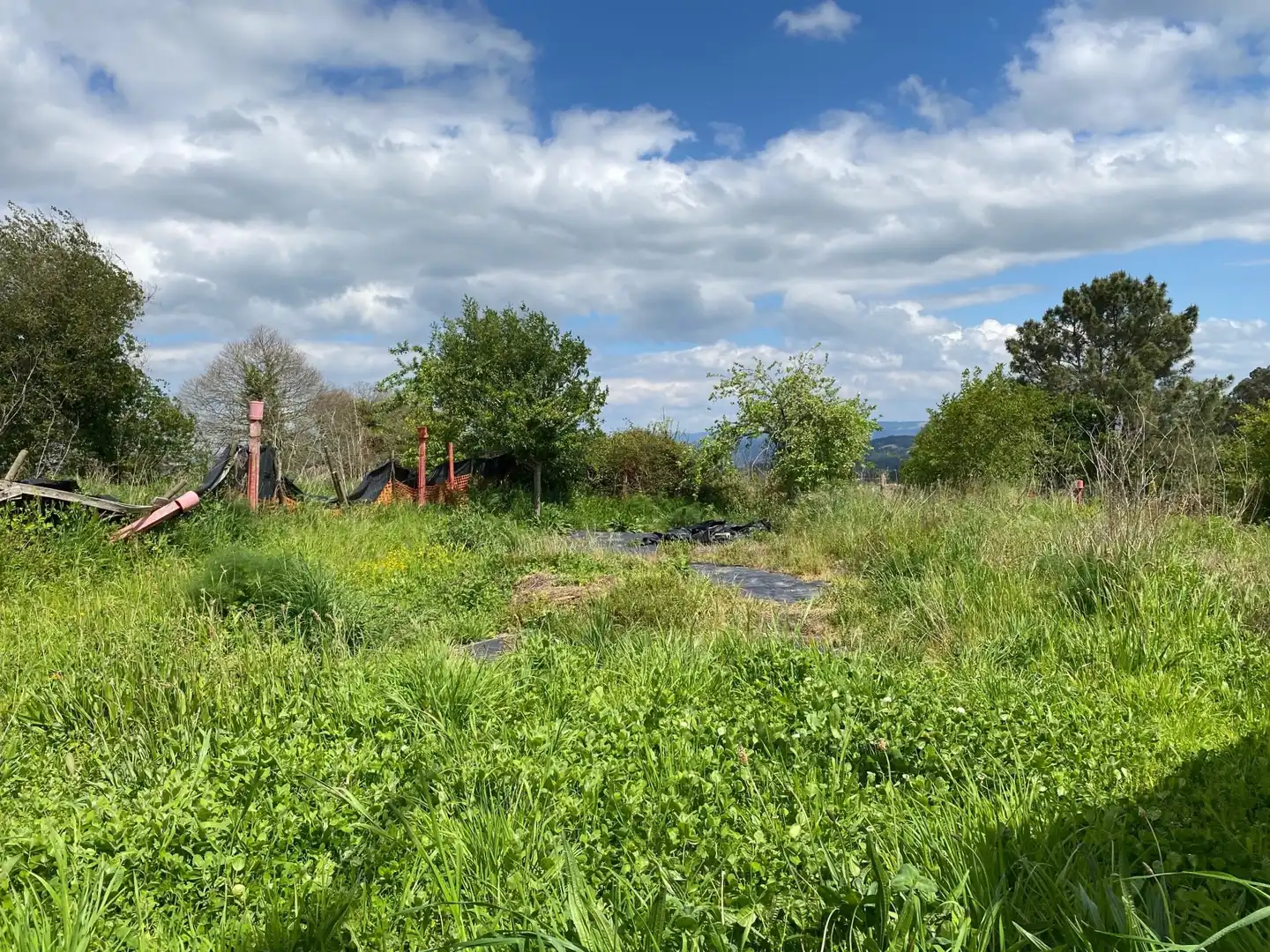 Residential land for sale in Muiño, imagen 9