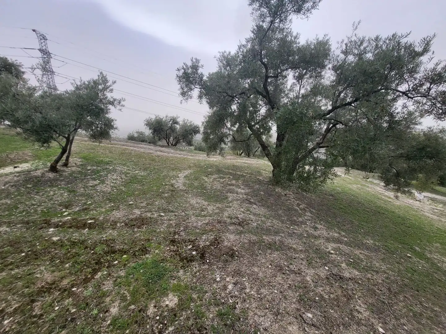 Rustikales Grundstück zum Verkauf in Güevéjar, imagen 11