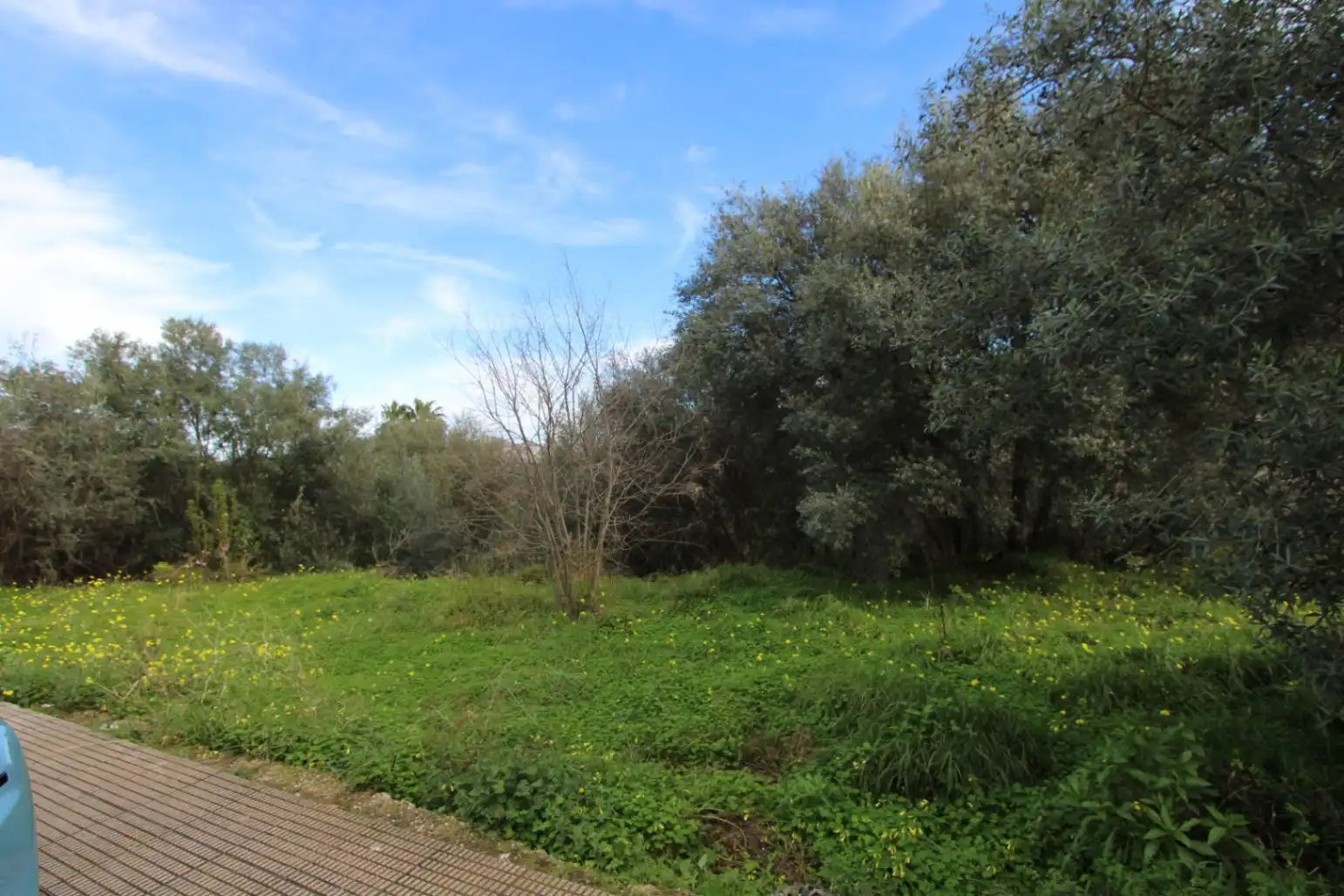 Residential land for sale in Orba, imagen 4