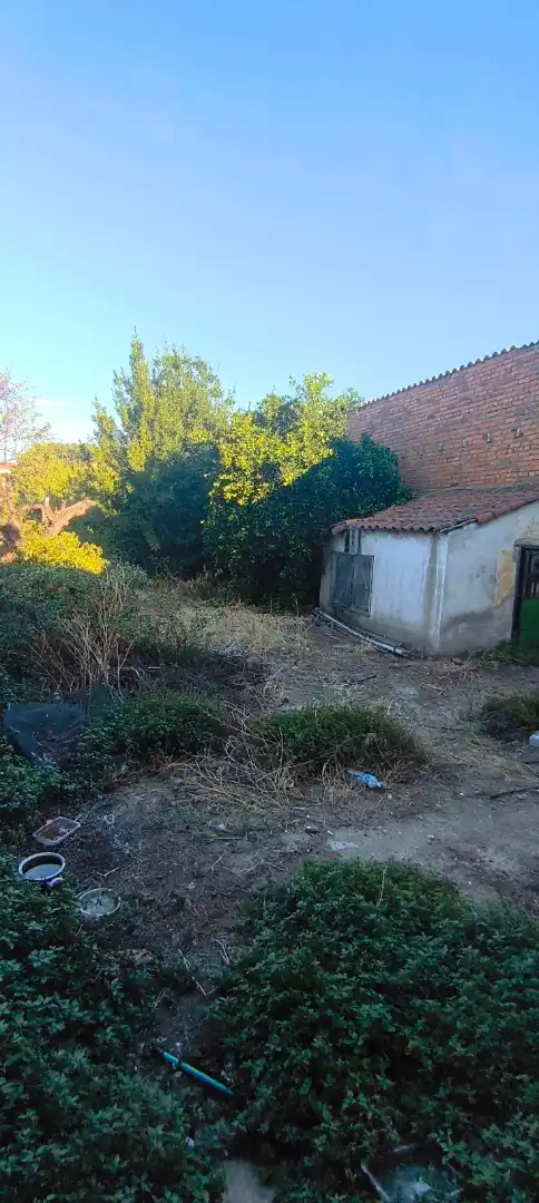 House with garden for sale in Avenida de la Constitución 33, imagen 6