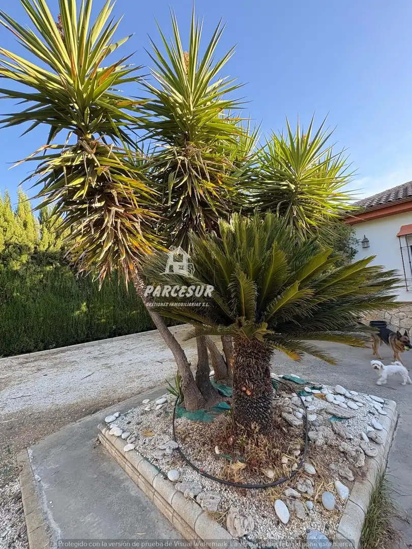 Casa con piscina en venta en Periurbano Oeste - Sierra, imagen 11