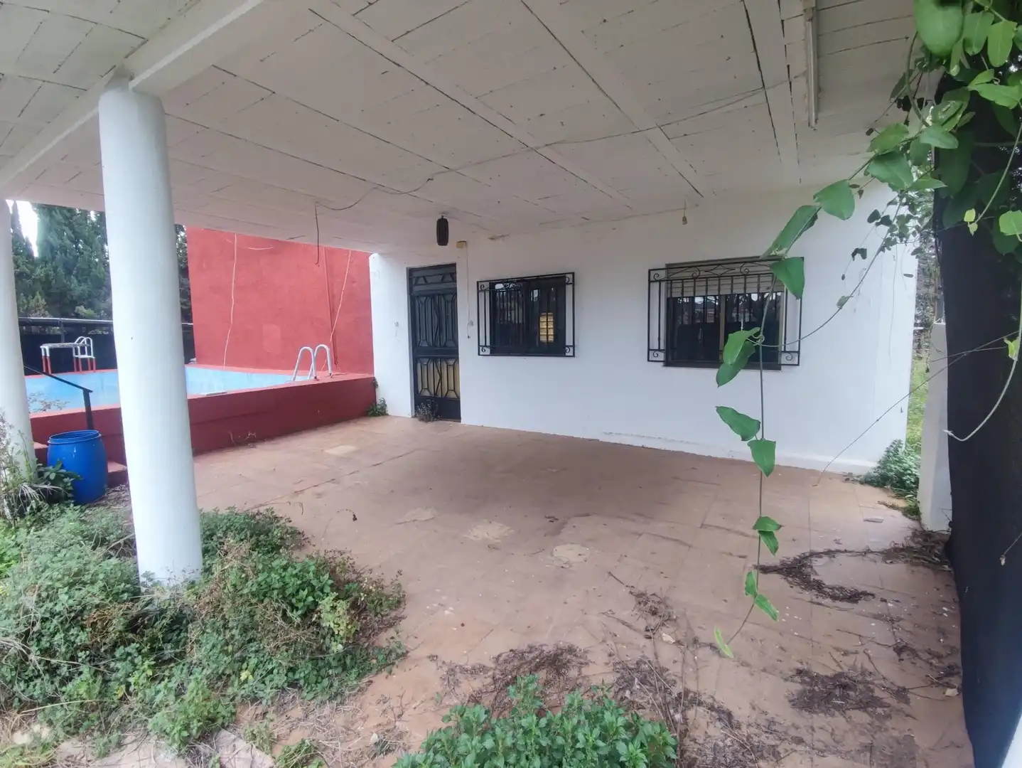 Vista exterior de Finca rústica en venta en Alzira con Terraza y Piscina
