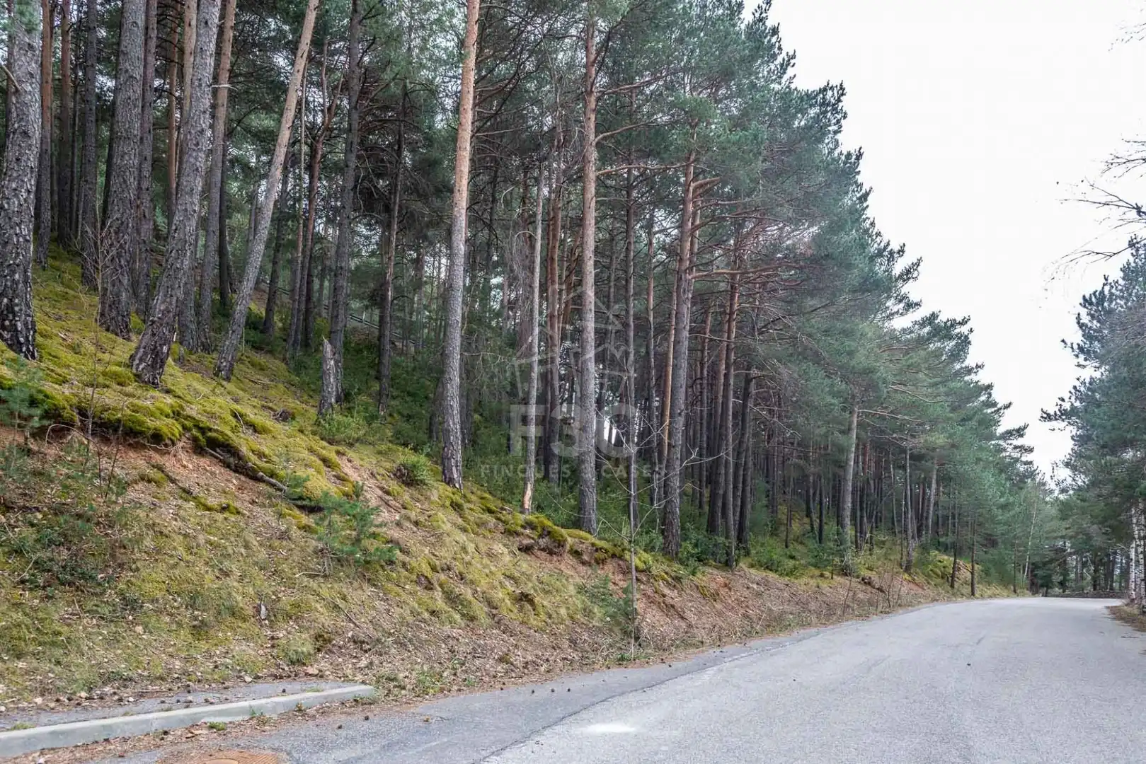 Terreno en venta en Aubinyà - Juberri